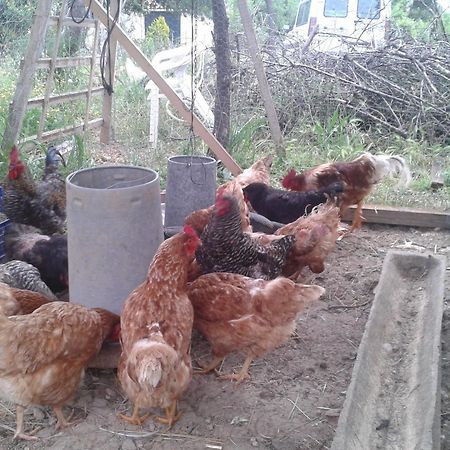 Sa Rota De Ca'N Casetes Casa de hóspedes Caimari Exterior foto